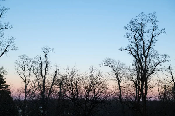 Arbres Nus Hiver Crépuscule Dans Thompson Park Monroe New Jersey Photos De Stock Libres De Droits
