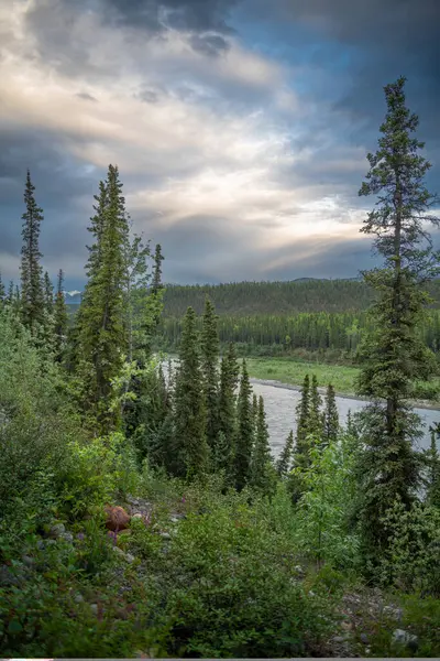 Malebný Pohled Dramatickou Oblohu Řeku Nenanu Národním Parku Denali Aljašce — Stock fotografie