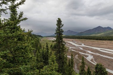 Alaska 'daki Denali Milli Parkı' ndaki nehir yatağının manzarası..