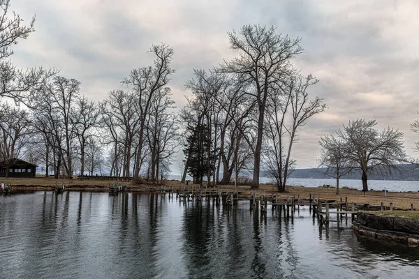 Bare Tree Refections Cayuga Lake Het Finger Lakes Gebied Van — Stockfoto