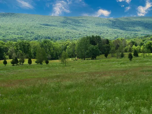 Wzgórza Warren County New Jersey Piękny Letni Dzień Zdjęcie Stockowe
