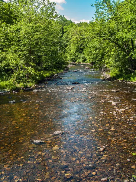 Clear Shallow Vancampens Brook Rural Warren County New Jersey Stock Picture