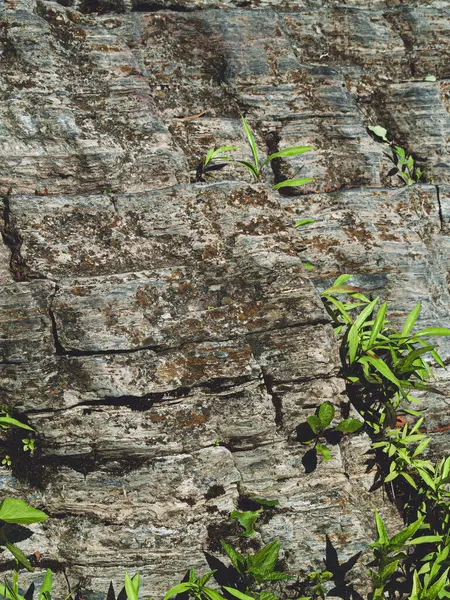 Видимі Тріщини Цій Скелі Окрузі Воррен Нью Джерсі Ліцензійні Стокові Фото