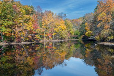 Parlak sonbahar renkleri New Jersey 'deki Allaire State Park' taki bu gölete yansıyor.