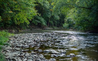 Lancaster County, Pennsylvania 'daki Fox Hollow Doğa Koruma Alanı' nda Pequea Deresi 'nde sayısız taş var..