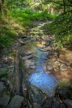 Pensilvanya 'nın Lancaster ilçesinde Peaquea Deresi' ne giden küçük bir dere..