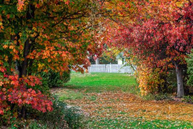 New Jersey 'nin arka bahçesindeki Long Valley' de gür bir sonbahar yeşilliği ve beyaz bir çit..