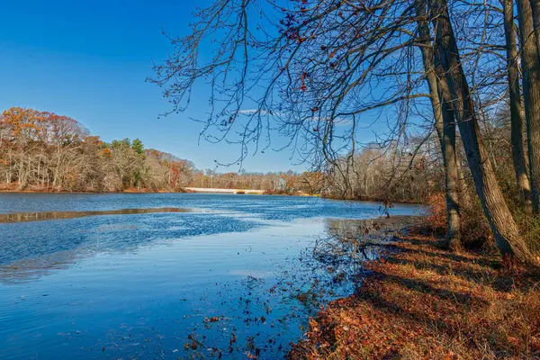 Manalapan, New Jersey 'deki Thompson Grove Park' a sonbaharın sonlarında bir bakış.
