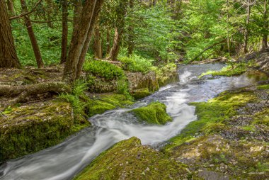 Sussex County, New Jersey 'deki Stokes Eyalet Ormanı' nda Tillmans Geçidi 'nden bir dere akıyor..