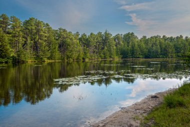 Manchester, New Jersey 'deki Harry Wright Gölü' nde sakin bir sahne..