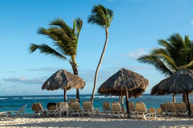 Punta Cana, Dominik Cumhuriyeti 'ndeki bu plaj boyunca sahil sandalyeleri, çim kulübeleri ve palmiye ağaçları..