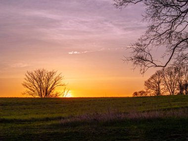 Monmouth County, New Jersey 'deki Thompson Park' ta bir çayırda gün batımı..