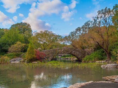Manhattan 'daki Central Park' taki ördek havuzunun üstündeki taş köprü..