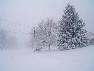 Manalapan, New Jersey 'de bu mahalleye yoğun kar yağıyor..