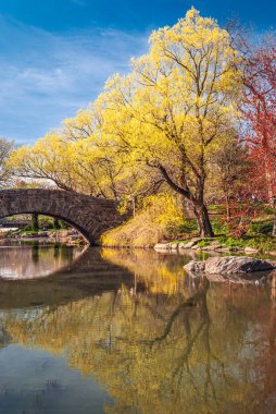 Taş köprünün yanında güzel bahar renkleri ve Central Park ördek göleti.