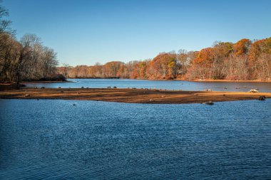Colts Neck, New Jersey 'deki yüzme nehri rezervuarının sonbahar manzarası.