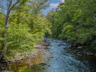 Hardwick Kasabası, Warren County, New Jersey 'deki Van Campens Mill Brook deresi..