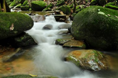Malezya 'da Nehrin Manzaralı Çekimi