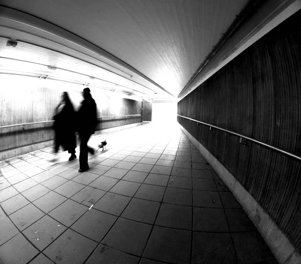 トンネルで動く犬とカップル ストック写真
