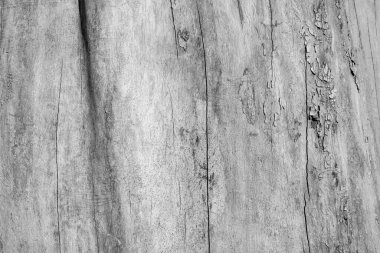 Kapalı kapılar ardında çatlamış bir odun yığını.