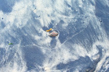 Kırmızı çakıl taşı ve turuncu yaprak mavi ve bej kumda