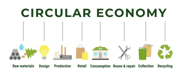 Infografía Economía Circular Modelo Negocio Sostenible Banner Iconos Del Ciclo — Vector de stock