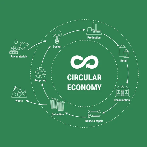 Infografía Línea Economía Circular Sobre Fondo Verde Modelo Negocio Sostenible — Vector de stock