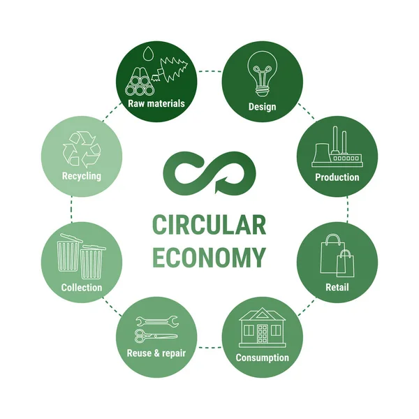Cirkulär Ekonomi Linje Infographic Gröna Ikoner Diagram Hållbar Affärsmodell System Royaltyfria illustrationer