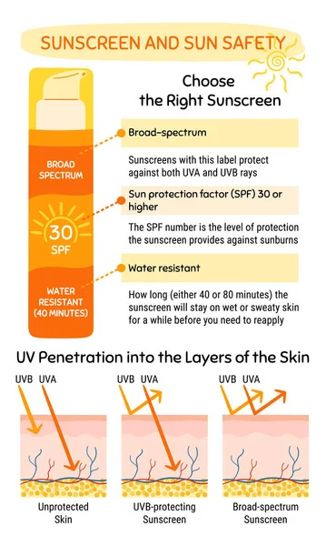 日焼け止めインフォグラフィックを選択して適用する方法 皮膚の層にUv浸透 広範なスペクトル 耐水性Spf保護と太陽の安全コンセプト 手描きベクトルイラスト ベクターグラフィックス