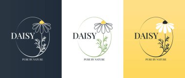 Papatya çiçeğinin vektör logosu. Modern el çizimi papatya ikonları. Bitkisel ilaçlar için markalaşma fikri, temel yağ markası kimliği, bitki çayı refahı ve güzellik ürünleri.