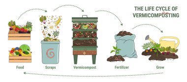 Vermigübreleme bilgisi. Evde nasıl gübre yapılacağı. Solucan gübresi. Organik atıkların geri dönüşümü, vermicomposter. Sürdürülebilir yaşam, sıfır atık konsepti. El çizimi vektör illüstrasyonu.