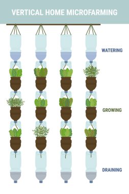 Beyaz arka planda kendi kendini sulayan plastik şişe ekicilerin bilgileri. Dikey bahçe, kentsel tarım konsepti. El çizimi vektör illüstrasyonu. 