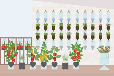 Balkonda kendi kendini sulayan plastik şişe çiftlikleriyle evde sebzeler ve sebzeler. İkincil kullanım. Dikey bahçe, kentsel tarım konsepti. El çizimi vektör illüstrasyonu.
