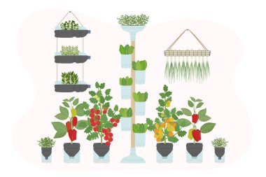 Evde sebzeli ve sebzeli DIY plastik şişe ekiciler var. Dikey bahçe, kentsel tarım konsepti. El çizimi vektör illüstrasyonu.