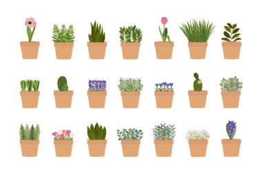 Çiçekli ve bitkili bir bitki seti. Dikey şehir bahçesi konsepti. El çizimi vektör illüstrasyonu.