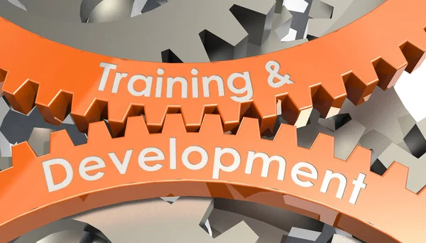 Training Development Word Gears Rendering —  Fotos de Stock
