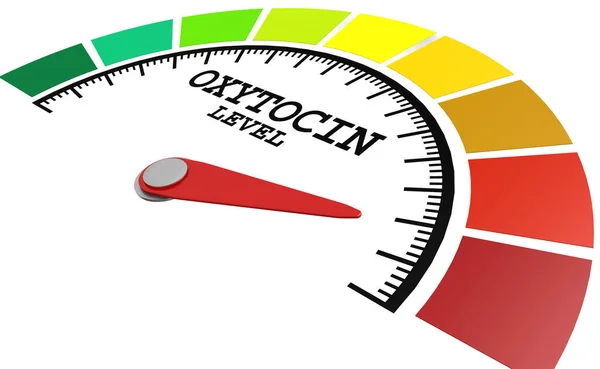 Bilancia Misura Del Livello Ossitocina Con Indicatore Colore Rendering — Foto Stock