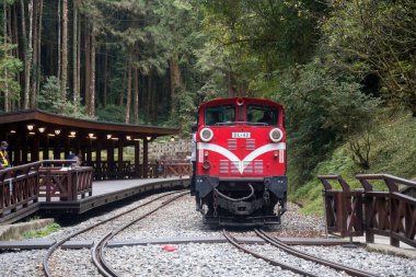 Alishan, Tayvan - 7 Aralık 2022 Alishan Ulusal Sahne Tayvan 'daki Kutsal Ağaç İstasyonu' ndan halka açık tren kalkıyor. Bu istasyon antik ağacı ziyaret etmek için bir yerdir..