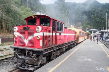 Alishan, Tayvan 6 Aralık 2022 Alishan Dağı 'ndaki Fenchihu tren istasyonunda. Alishan Ormanı Demiryolu dar demiryollarında 86 km 'lik bir ağdır.