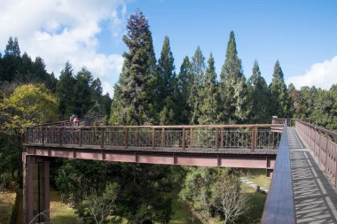 Alishan, Tayvan - 7 Aralık 2022 Alishan Ulusal Orman Bölgesi 'nde gözlem güvertesi ve gökyüzü yürüyüşü. Natura ve dağların üzerinde güzel panoramik manzaralar sunar..