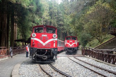 Alishan, Tayvan - 7 Aralık 2022 Alishan Ulusal Sahne Tayvan 'daki Kutsal Ağaç İstasyonu' ndan halka açık tren kalkıyor. Bu istasyon antik ağacı ziyaret etmek için bir yerdir..