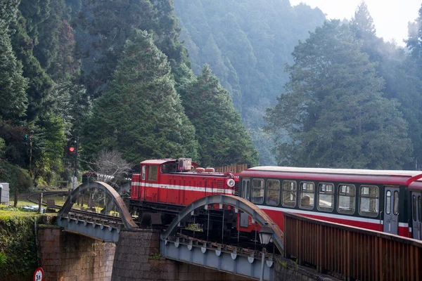 Alishan, Tayvan - 7 Aralık 2022 Alishan Ulusal Sahne Bölgesi 'nde Alishan Orman Treni. Alishan Orman Treni Alishan ve Kutsal Ağaç İstasyonu arasında mekik dokumakta olan klasik bir tren.