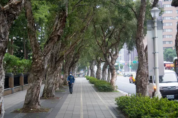 Taipei, Tayvan - 9 Aralık 2022: Taipei, Tayvan 'da cadde boyunca ağaçlı yeşil patika.