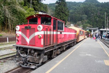 Alishan, Tayvan 6 Aralık 2022 Alishan Dağı 'ndaki Fenchihu tren istasyonunda. Alishan Ormanı Demiryolu dar demiryollarında 86 km 'lik bir ağdır.