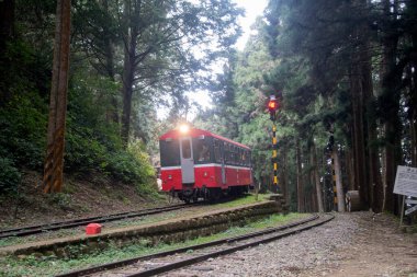 Alishan, Tayvan - 7 Aralık 2022 Alishan Ulusal Sahne Tayvan 'daki Kutsal Ağaç İstasyonu' na yaklaşmaktadır. Bu istasyon antik ağacı ziyaret etmek için bir yerdir..