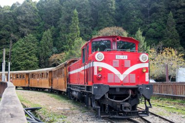 Alishan, Tayvan - 7 Aralık 2022 Alishan Orman Treni Alishan Ulusal Sahne Bölgesi 'nde eski ahşap arabalı. Alishan Dağı demiryolu yerel ve denizaşırı ülkelerde iyi bilinir..