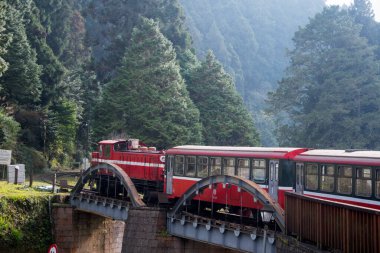 Alishan, Tayvan - 7 Aralık 2022 Alishan Ulusal Sahne Bölgesi 'nde Alishan Orman Treni. Alishan Orman Treni Alishan ve Kutsal Ağaç İstasyonu arasında mekik dokumakta olan klasik bir tren.