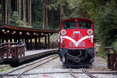 Alishan, Tayvan - 7 Aralık 2022 Alishan Ulusal Sahne Tayvan 'daki Kutsal Ağaç İstasyonu' ndan halka açık tren kalkıyor. Bu istasyon antik ağacı ziyaret etmek için bir yerdir..