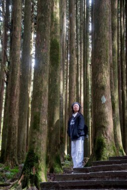 Alishan, Tayvan - 7 Aralık 2022: Tayvan 'daki Alishan Ulusal Sahne Bölgesi' nde turist yürüyüşleri. Dağ yabanı, köyler, şelaleler ve iyi korunmuş ormanları içerir..