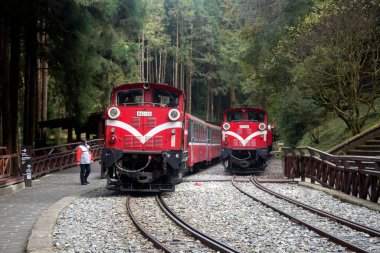 Alishan, Tayvan - 7 Aralık 2022 Alishan Ulusal Sahne Tayvan 'daki Kutsal Ağaç İstasyonu' ndan halka açık tren kalkıyor. Bu istasyon antik ağacı ziyaret etmek için bir yerdir..